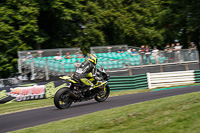Advanced Group Black Bikes